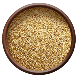 Foxtail Millet