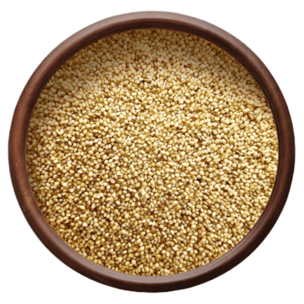 Foxtail Millet