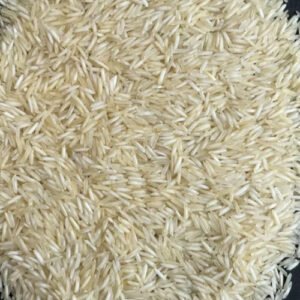 Kolam Rice