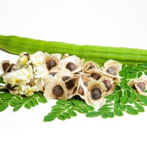 Moringa Seeds (Whole Raw)